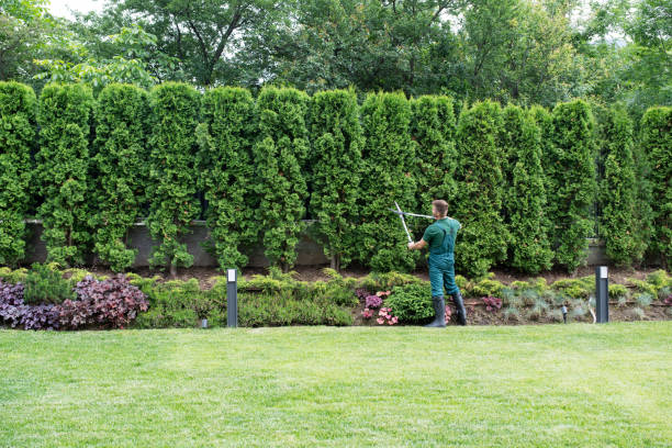 Best Organic Lawn Care Solutions  in Pleasant Hills, OH